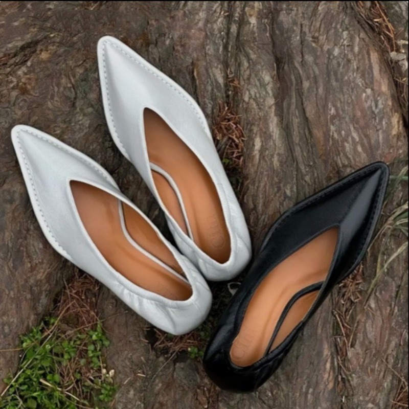 2025 New Pointed Toe Single Sh - Women'S Fashion Spring 2025 recensie en prijs